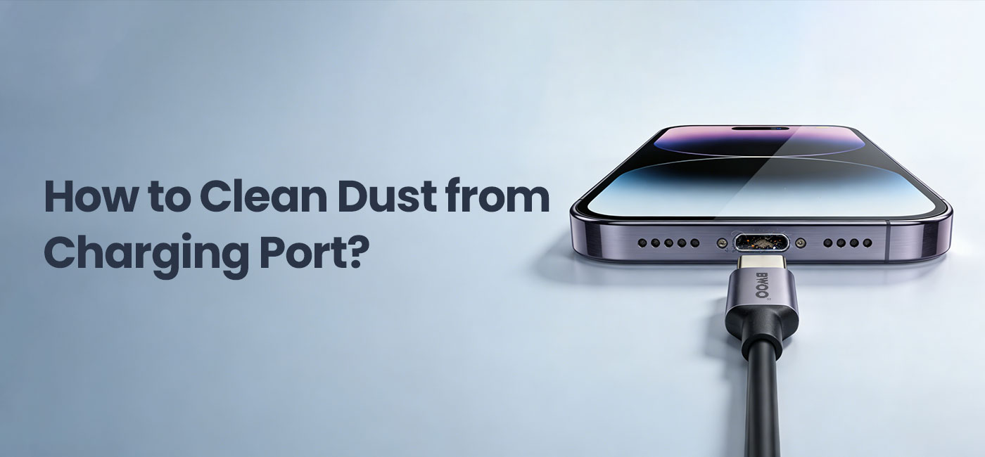 clean the dust of charging port