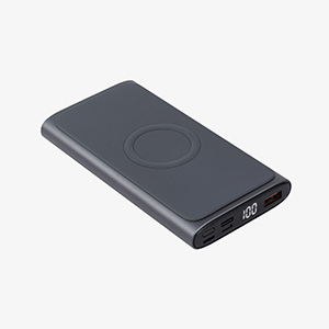 P55 Power Bank - 300