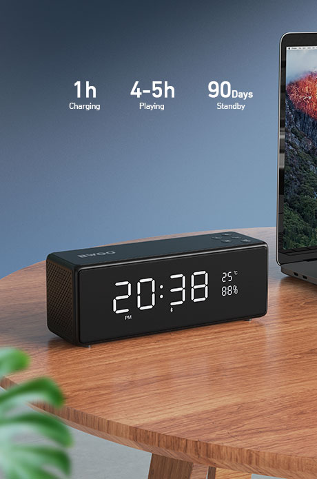 BT wireless speaker
