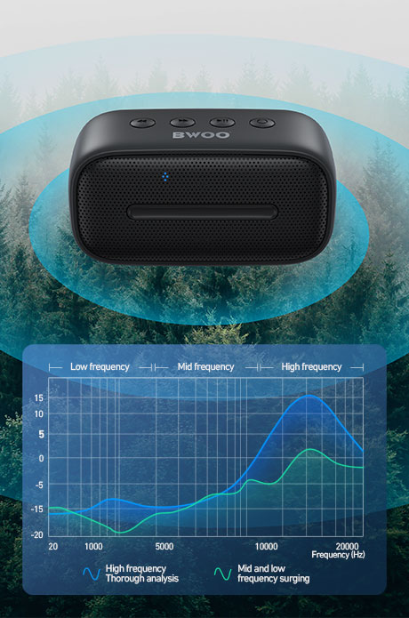 speaker bass