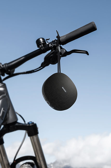 portable wireless speaker
