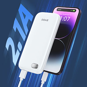 Dual 2.1A USB Output Power Bank