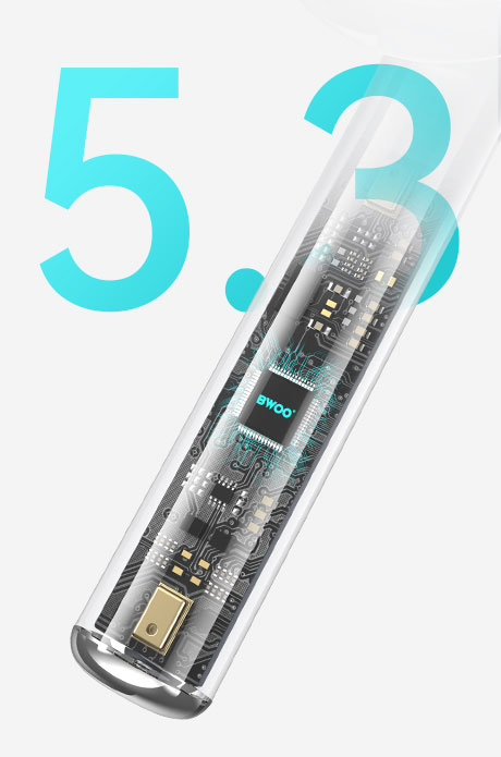 BWOO Earphones BW86-2
