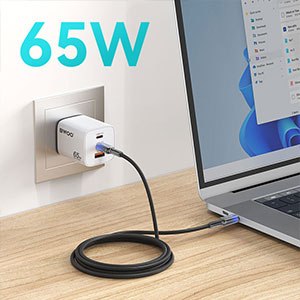 BWOO-PD-65W-cable-300