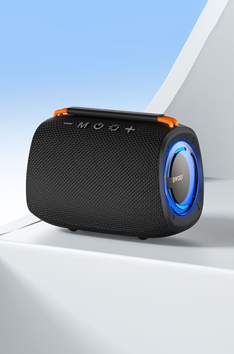 bass-speaker3