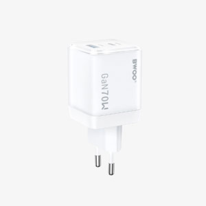 charger1-300