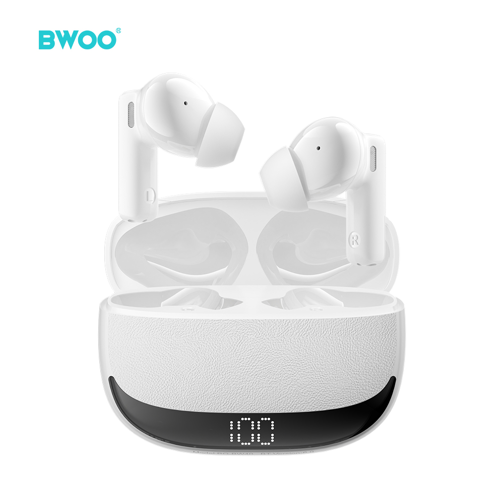 BW40-1