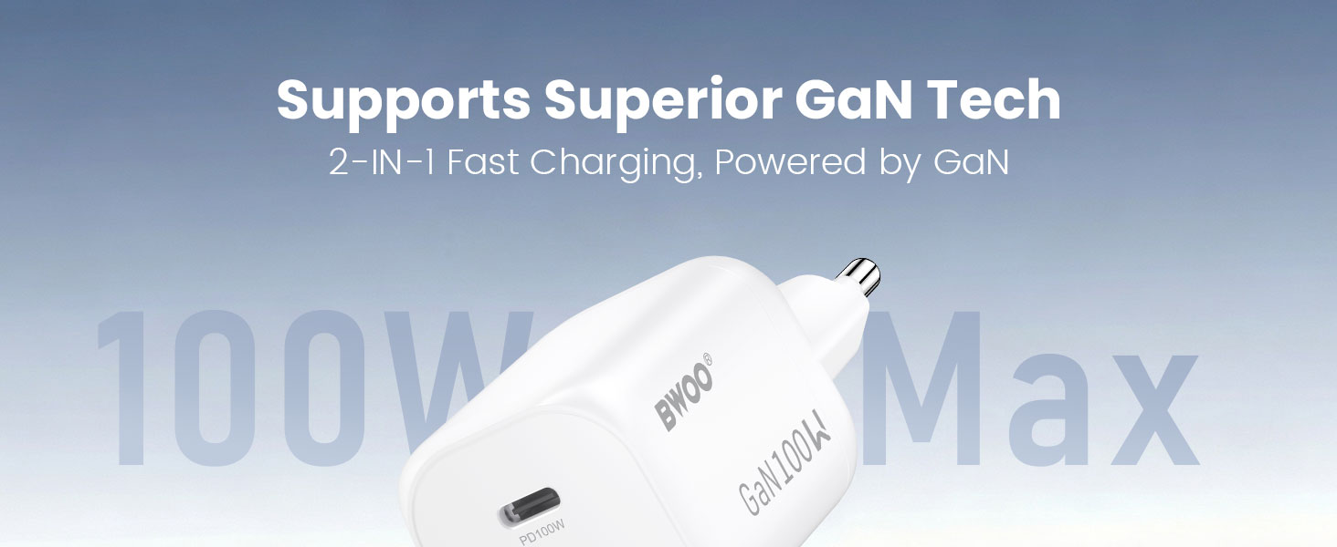 BWOO gan charger 100w 2 in 1