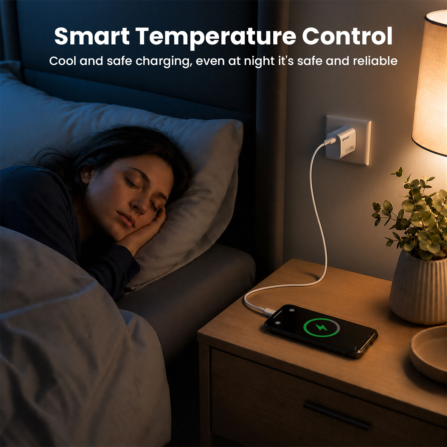 BWOO 20W Smart Charger with Temperature Control