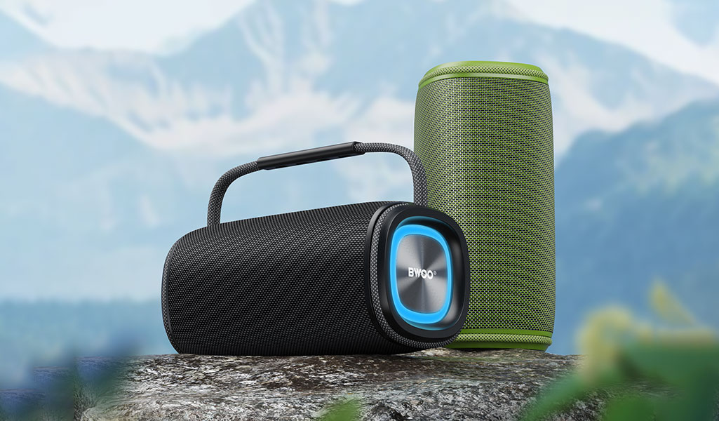 dual bass speaker-1