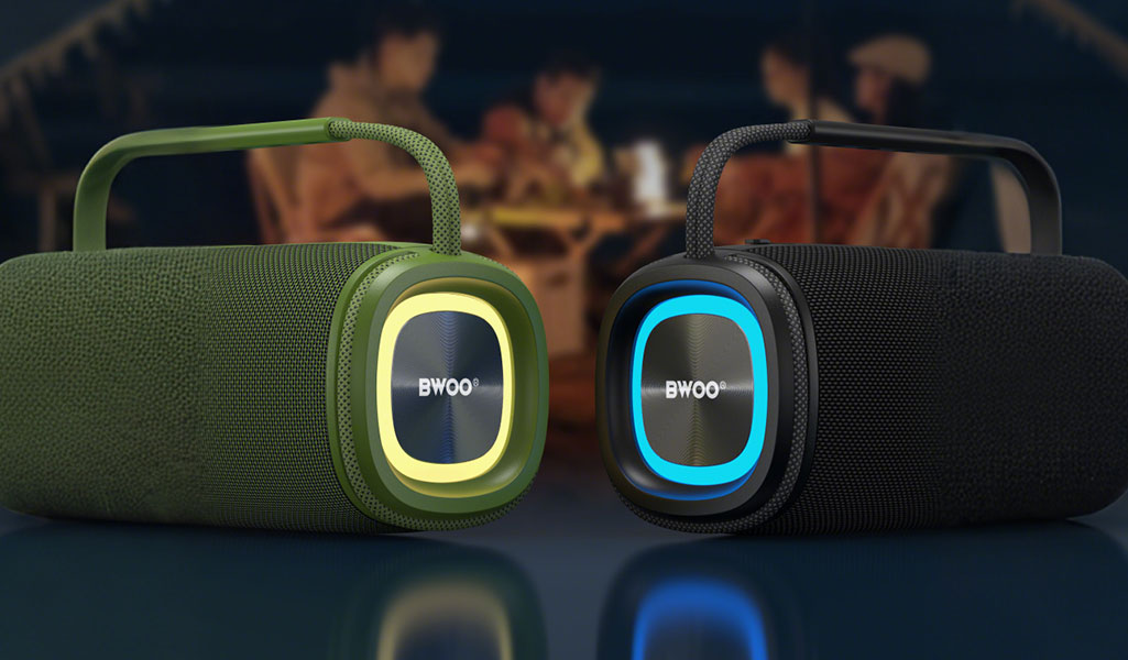 dual bass speaker-4